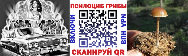 Галлюциногенные грибы Cubensis  Купить  Болохово 